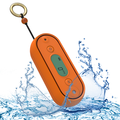 İyi bir fiyat. IP67 Kaldırılabilir Karbon Monoksit Alarmı Bodrum Garajı için CO Gaz Detektörü çevrimiçi