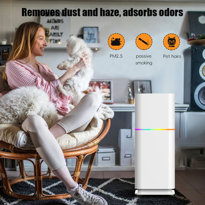 Good price ODM HEPA Oda Toz Temizleyici Konut Hava Temizleyicisi 240V PM2 için.5 çevrimiçi