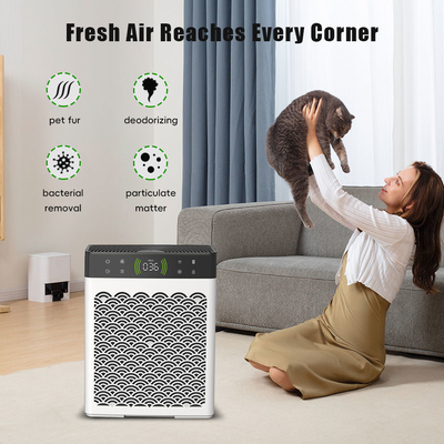 Good price OEM İçeride Nemlendirici ve Hava Temizleyicisi Kedilerin Çöpü ve Köpeklerin İdrar Deodorantı çevrimiçi